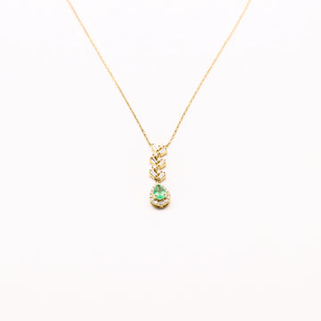 AGARG 13 DIA, 6 BAGUETTE ESME