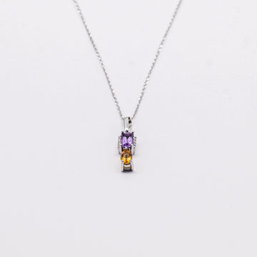 GARG ALEJAND Y CITRINA