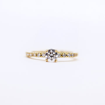 COMPROMISO LABORATORIO